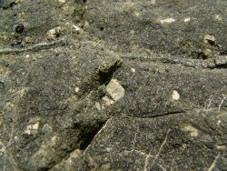 p1190430