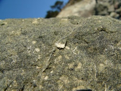 p1190431