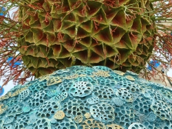 p1150795