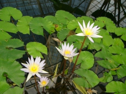 p1150801