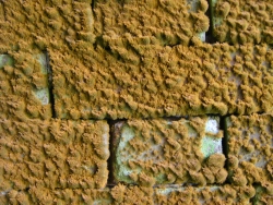 p1210337