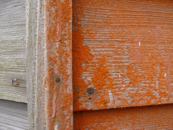 p1210340