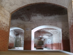 p1210354