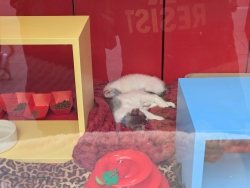 pxl20251129224439280