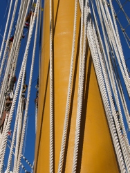 p1080107r