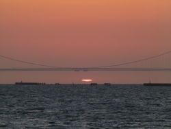 p2310725