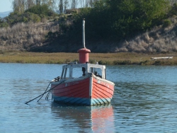 p2370358