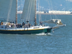 p2370362
