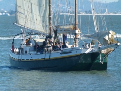 p2370365