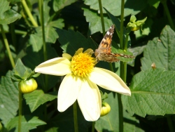 p1070556
