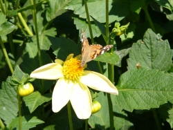p1070557
