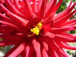 p1070568