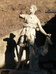 p1190817r