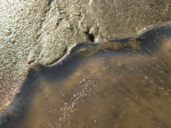 p1190833