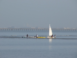 p1100456