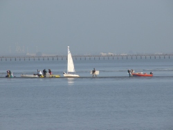 p1100459