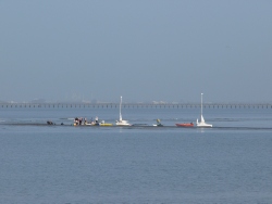 p1100462