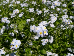 p1100473
