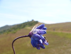 p1210778