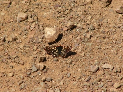 p1210797