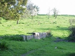 mvc-3098
