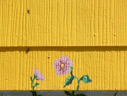 p1170432