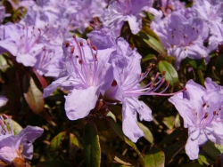 p1170446