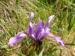 p1170468
