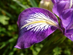 p1170471