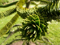 p1170480