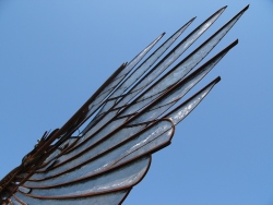 p1250635