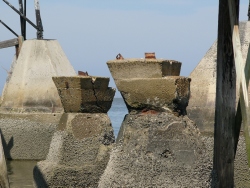 p1250642