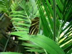 p1230824