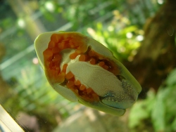 p1230828