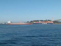 p2370262