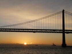 p2320242