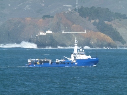 p2320248