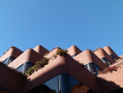 p2320250