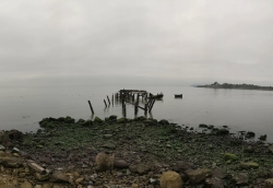pano20210103003244851