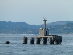 p2370554