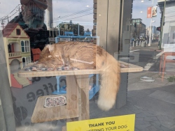 pxl20260131195614720