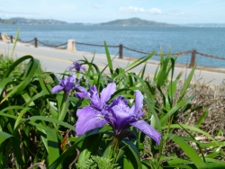 p2350264