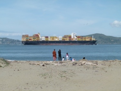 p2350265
