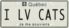 license