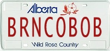 license