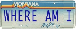 license