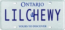 license